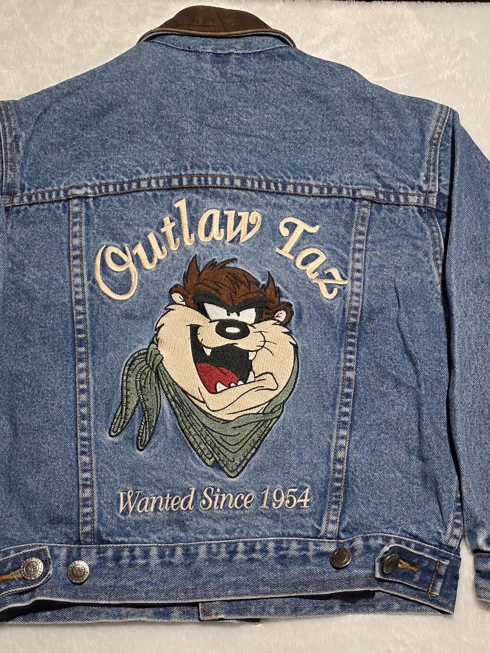 Vintage Kids '95 Outlaw Taz Tasmanian Devil Looney Tunes Embroidered Jean Jacket